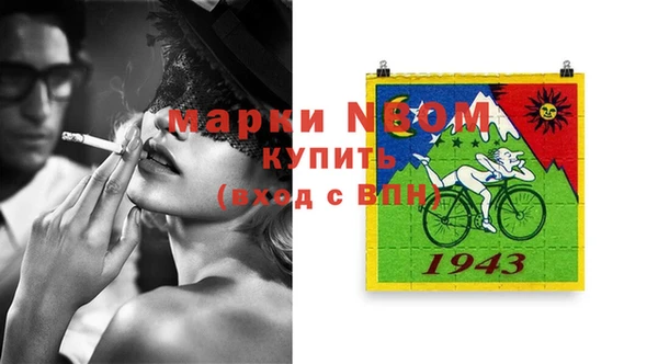 дмт Каменка