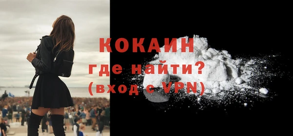 дмт Каменка