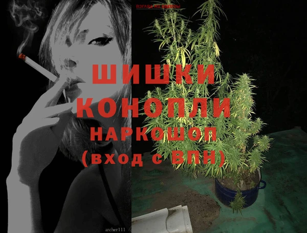 дмт Каменка