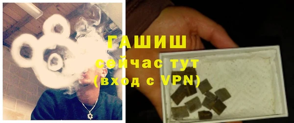 дмт Каменка