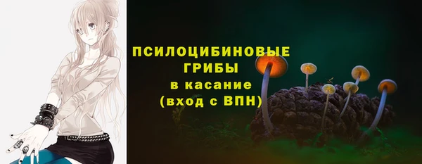 винт Каменск-Шахтинский