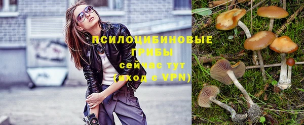 первитин Каменногорск