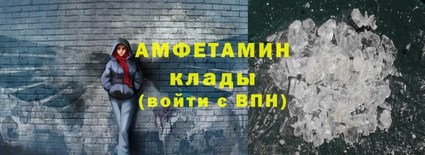 дмт Каменка