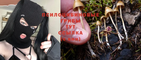 дмт Каменка