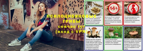 первитин Каменногорск