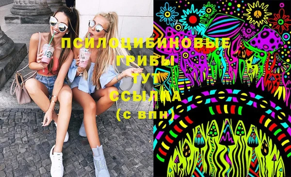винт Каменск-Шахтинский