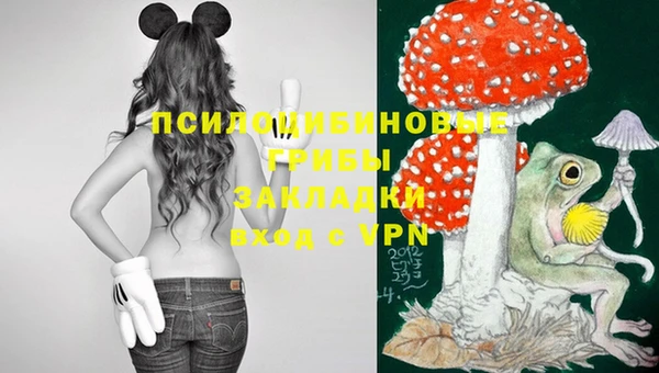 первитин Каменногорск