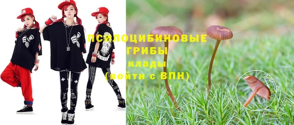 винт Каменск-Шахтинский