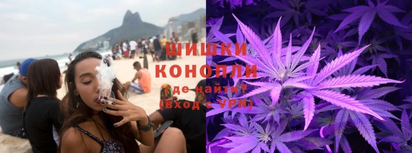 дмт Каменка