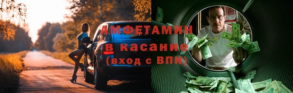 дмт Каменка