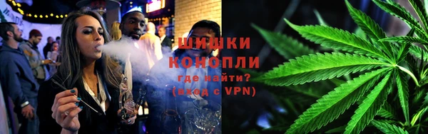 дмт Каменка