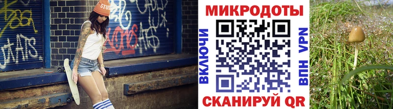 Купить где  Инта  Псилоцибиновые грибы мухоморы 